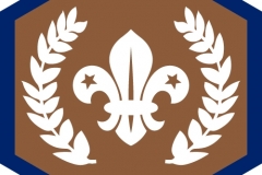 Chief Scout's Bronze Award