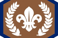Chief Scout's Bronze Award
