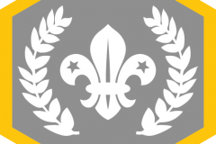Chief Scout's Silver Award