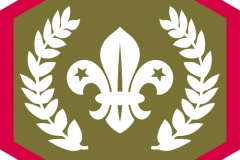 Chief Scout's Gold Award